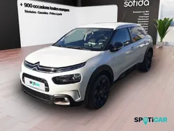 Blanc Utilisé 2020 Citroën C4 Cactus PureTech Citadine | 11 990 € (Bon prix)