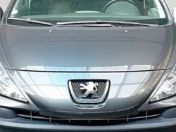 Gris Utilisé 2007 Peugeot 207 Break | 3 990 € (Prix cher)