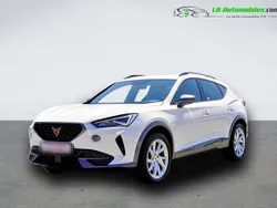 Utilisé 2023 Cupra Formentor SUV | 36 000 € (Prix juste)
