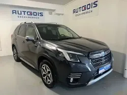 Gris Utilisé 2023 Subaru Forester SUV | 28 999 €