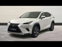 Utilisé 2021 Lexus NX300h Executive Line SUV | 34 999 € (Prix juste)