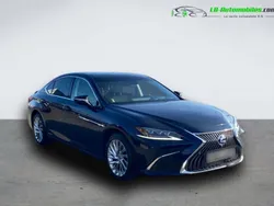 Utilisé 2021 Lexus ES300H Berline | 44 000 € (Prix juste)