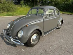 Autres Utilisé 1963 VW Beetle Berline | 23 500 €