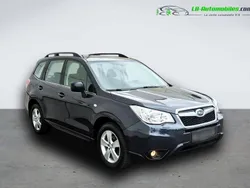 Utilisé 2015 Subaru Forester SUV | 22 900 € (Prix cher)