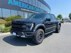Noir Utilisé 2023 Ford F-150 Raptor Pick-up | 147 900 € (Prix assez cher)