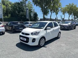 Blanc Utilisé 2016 Kia Picanto Premium Citadine | 10 990 € (Super prix)