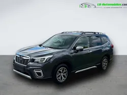 Utilisé 2020 Subaru Forester SUV | 27 900 € (Prix juste)