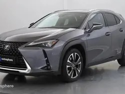 Gris Utilisé 2020 Lexus UX 250h Executive Line SUV | 26 999 € (Bon prix)