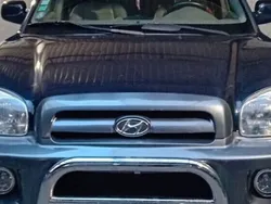 Bleu Utilisé 2005 Hyundai Santa Fe SUV | 4 490 €