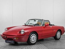 Rouge Utilisé 1992 Alfa Romeo Spider Cabriolet | 16 900 €