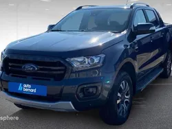 Gris Utilisé 2019 Ford Ranger Wildtrack Pick-up | 31 490 € (Prix assez cher)