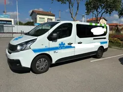 Utilisé 2020 Fiat Talento Van | 8 500 €