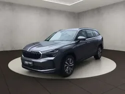 Gris Utilisé 2024 Skoda Kodiaq Selection SUV | 45 117 € (Bon prix)