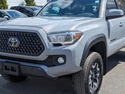 Utilisé 2019 Toyota Tacoma Pick-up | 41 085 € (Prix assez cher)