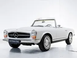 Blanc Utilisé 1967 Mercedes 250 Cabriolet | 82 500 €