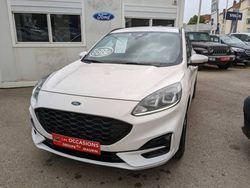 Blanc Utilisé 2021 Ford Kuga Business Edition SUV | 25 390 € (Bon prix)
