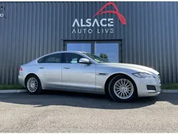 Gris Utilisé 2018 Jaguar XF Pure Berline | 21 900 € (Prix juste)