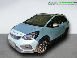 Utilisé 2020 Honda Jazz Citadine | 22 900 € (Prix assez cher)