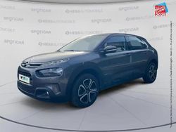 Gris Utilisé 2020 Citroën C4 Cactus Business Class Citadine | 12 999 € (Prix juste)