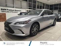 Gris Occasion 2025 Lexus ES300 Berline | 52 900 €