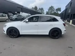 Blanc Utilisé 2014 Audi SQ5 SUV | 18 990 € (Prix assez cher)