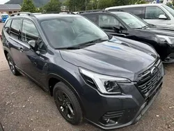 Gris Nouvelle 2025 Subaru Forester Platinum SUV | 37 840 €