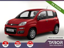 Rouge Nouvelle 2025 Fiat Panda Citadine | 13 759 € (Prix juste)