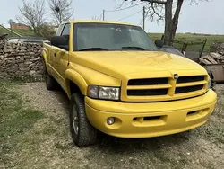 Jaune Utilisé 2001 Dodge Ram Pick-up | 16 000 €