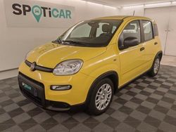 Jaune Utilisé 2025 Fiat Panda Classica Citadine | 14 990 € (Prix juste)