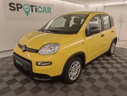 Jaune Utilisé 2025 Fiat Panda Classica Citadine | 14 990 €