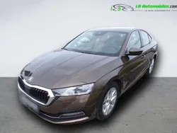 Utilisé 2021 Skoda Octavia Berline | 26 200 € (Prix juste)