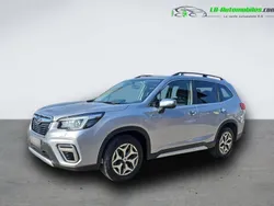 Utilisé 2020 Subaru Forester SUV | 30 000 € (Prix assez cher)