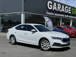 Blanc Utilisé 2024 Skoda Octavia Business Line Berline | 26 890 € (Bon prix)