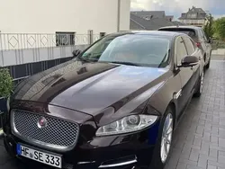Utilisé 2013 Jaguar XJ Portfolio Berline | 13 500 €