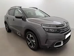 Gris Utilisé 2019 Citroën C5 Aircross Shine SUV | 16 600 € (Prix juste)