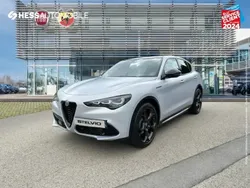 Gris Utilisé 2024 Alfa Romeo Stelvio Competizione SUV | 57 999 €