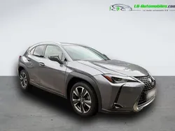 Utilisé 2019 Lexus UX 250h SUV | 26 200 € (Prix juste)