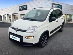 Utilisé 2022 Fiat Panda City Life Citadine | 11 700 € (Prix juste)