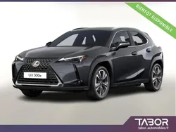 Gris Nouvelle 2025 Lexus UX 300e Luxury Line SUV | 34 274 €