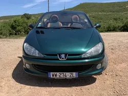 Vert Utilisé 2004 Peugeot 206 CC Roland Garros Cabriolet | 5 500 € (Prix juste)