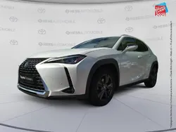 Blanc Utilisé 2019 Lexus UX 250h SUV | 25 999 € (Prix juste)