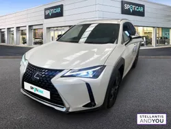 Blanc Utilisé 2021 Lexus UX SUV | 23 990 € (Super prix)