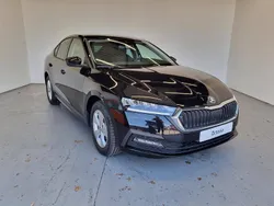 Utilisé 2023 Skoda Octavia Business Line Berline | 22 990 € (Prix juste)