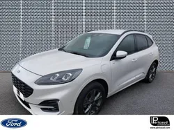 Blanc Utilisé 2022 Ford Kuga Viva SUV | 31 990 € (Prix cher)