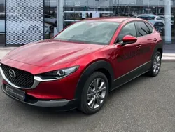 Utilisé 2025 Mazda CX-30 SUV | 35 290 € (Prix assez cher)