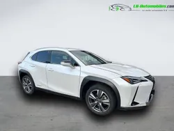 Utilisé 2021 Lexus UX 300e SUV | 27 200 € (Prix cher)
