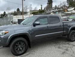 Utilisé 2023 Toyota Tacoma SR5 Pick-up | 38 152 €