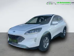 Utilisé 2022 Ford Kuga SUV | 23 800 € (Super prix)