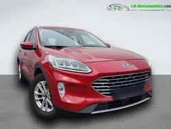 Utilisé 2021 Ford Kuga SUV | 23 800 € (Bon prix)
