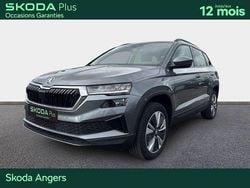 Gris Utilisé 2023 Skoda Karoq Business Line SUV | 25 990 € (Prix juste)